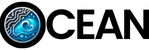 Ocean Computer Pakistan